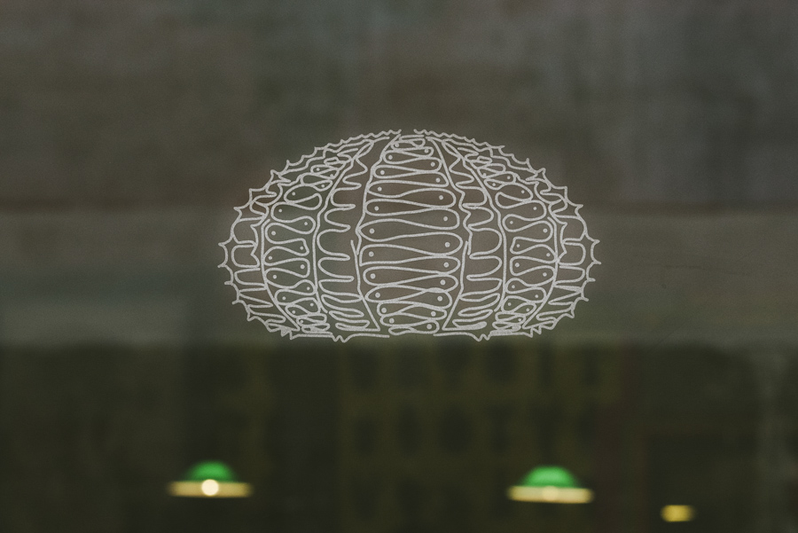 fotografo-de-empresas